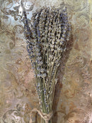 Lavender Bunches on Stem