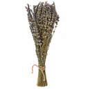 Lavender Bunches on Stem